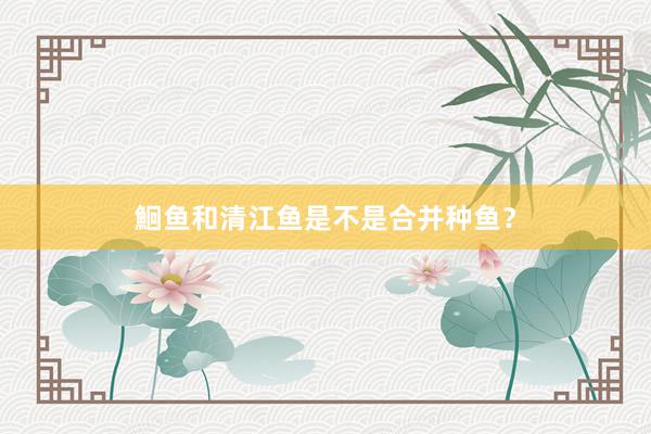 鮰鱼和清江鱼是不是合并种鱼?